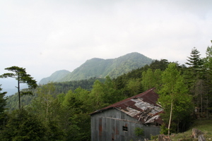 雲取ヒュッテから白岩山 06-17-2007