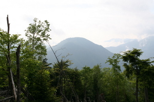 長沢背稜から雲取山 06-18-2007