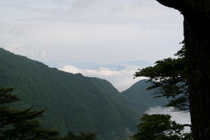 長沢背稜から行きの尾根を望む 06-18-2007