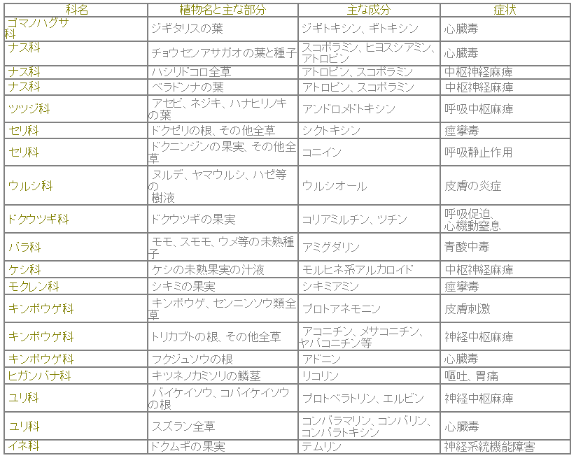 リクガメの毒草誤飲と処置事例 駅徒歩5分の日常