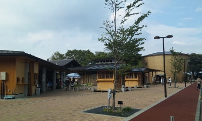 那須高原友愛の森