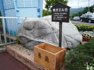 若ガエル