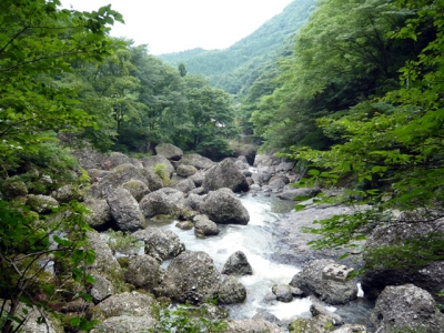 袋田の滝 滝川