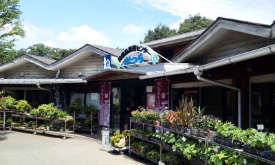 かつら
