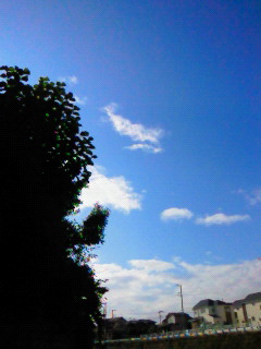 201107230722000.jpg