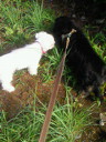 201107230731000.jpg