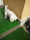 201107230746000.jpg
