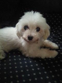 201108200722000.jpg