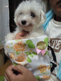 201108201958000.jpg