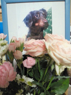 201110272156001.jpg