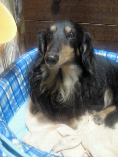 201112032149003.jpg