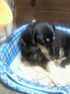 201112032149001.jpg