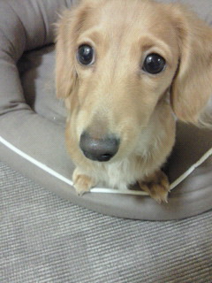 201111292120001.jpg
