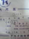 201112041955000.jpg