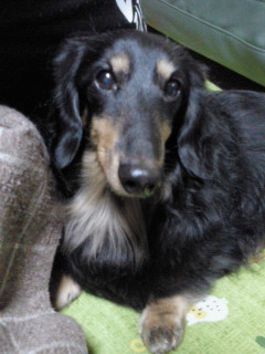 201112042044000.jpg