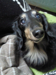 201112042043000.jpg
