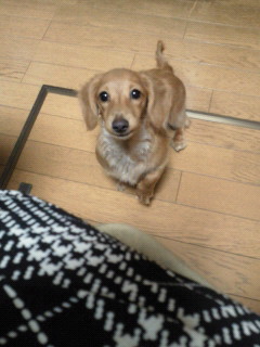 201112041925001.jpg