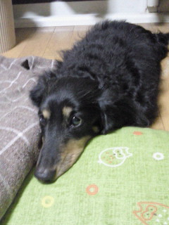 201112102056000.jpg