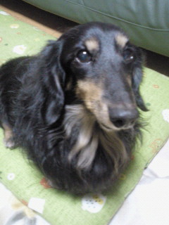 201112072140001.jpg