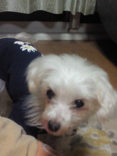 201201041757001.jpg