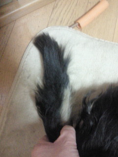 201202212220002.jpg