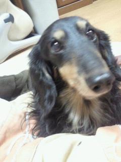 201202181844000.jpg