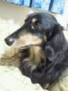 201202152312000.jpg