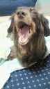 201105230727000.jpg