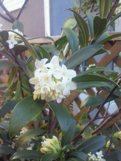 201203270716001.jpg