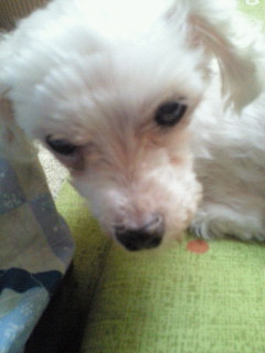 201204041452000.jpg