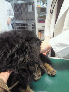 201204041201000.jpg
