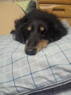 201203302200000.jpg