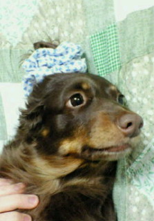 DCF00001.jpg