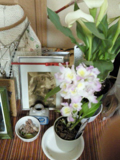 201204211859000.jpg