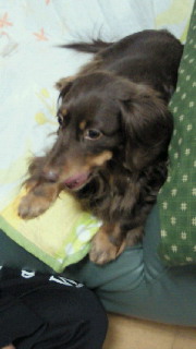201104102025001.jpg