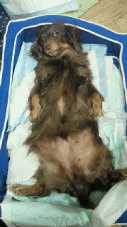 201104231840000.jpg
