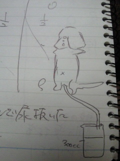 201205142112000.jpg