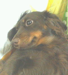 200510151537.jpg