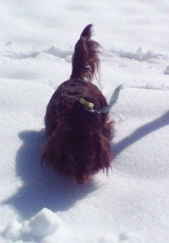 201003101432000.jpg