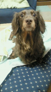 201105230727002.jpg