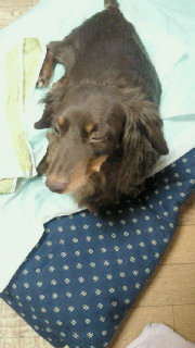 201105230726000.jpg