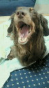 201105230727000.jpg