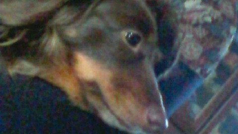 201104170719000.jpg