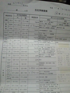 NEC_0024.jpg