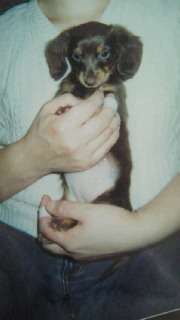 201106090748000.jpg
