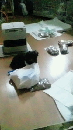 2011030616390000.jpg