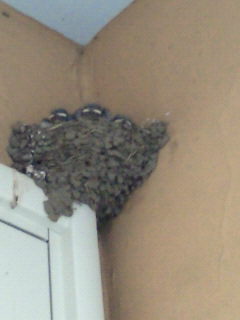 201206291811000.jpg