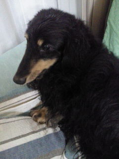 201206202007001.jpg