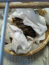 201206290702000.jpg