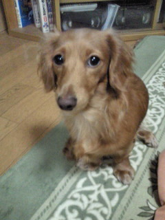 201206162234000.jpg